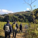 탐라순력도 | 거문오름 탐방 후 함덕~조천~산지천까지