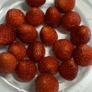 마래주유소 | 1월일상 ; 오랜만의 나의 일상기록