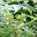 논개생가지 이미지