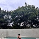 아프레투아 이미지