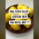 매일 마시면 뱃살 쫙 빼주는 레몬물 만드는 법 이미지