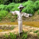 바다향기수목원(바다너울원) 이미지