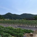 덕두농장 네이버블로그