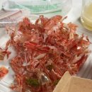 천금식당 | 울릉도 독도새우 맛집 천금수산, 저동항 아침식사 홍따밥 가송식당(오징어회타운 비추)