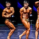 페르보 피트니스 이미지