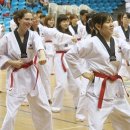 스포렉스 태권도 이미지