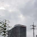 시골장터 돼지국밥 티스토리