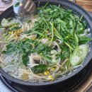 배꽃길 41 이미지