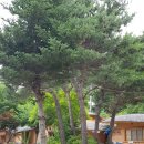 내린천 황토마을펜션 이미지