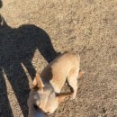 준독트레이닝센터 이미지