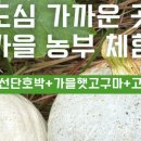 양석농장 이미지