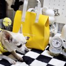 우월한 탄산 이미지