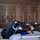 티케이정형외과의원 | 엄마의 무릎 인공관절수술과 꺽기운동, 무릎꺽는기계 CPM 후기