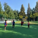 반월태권도장 이미지