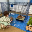 건후농장 | 슈퍼맨이 돌아왔다 박주호, 찐건나블리 농장 방문장소, 슈돌 사계절 팜스테이 체험농장