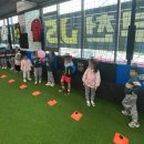 예능영재유치원 이미지