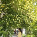 목향별관 이미지