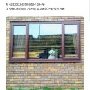 글쓰기 레시피, 봄 | 2025.11(下) | 노력 없이 성과를 이루고 싶다 ˗ˋˏ 제발요 ˎˊ˗