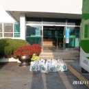 금과면사무소 이미지