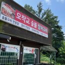 오작교장어 이미지