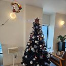 우함빌딩 | 용인 동백역카페 지라운지 구절초차, 레몬에이드, 크로아상 후기