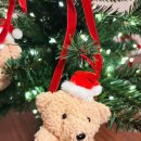 아이트리 | 루시아이 곰돌이 미니트리 예쁜 제품 추천 후기