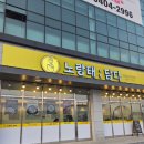 노랑태;담다