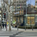 모아(건어물파는 언니) | 온 세상 건강식품 다 모아둔 “올리브베러 광화문점” 방문후기(올리브영 웰니스 플랫폼, 시음회...