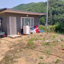 금산농장 2 이미지