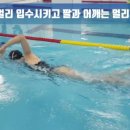 YS 스윔키즈 이미지