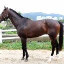 해피페이트 이미지