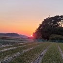 해넘이농장 이미지