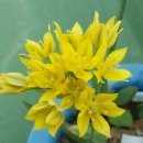 몰리(MOLY) 이미지