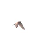 금호강6 이미지