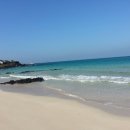 이오농장 이미지