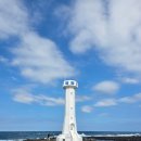 제주늘푸른음악회 | 제주 우도 여행 후기ㅣ전기차 타고 우도 한바퀴