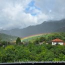 포레스트 월악 이미지