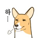 모아트의원