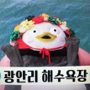 광안리관광안내소 Daum카페