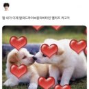 알파이브원 이미지