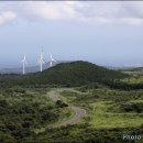 성읍리-5 이미지