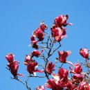 선재불교사 | 남원 지리산 실상사(實相寺)