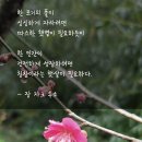 장 자크 루소, "인간의 성장을 위한 햇살" 이미지