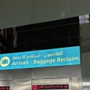 두바이 짐 | 두바이 입국심사 수화물 짐 찾기(feat. 무료 유심수령 후기)