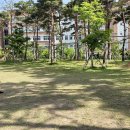 몸좋아GYM