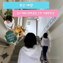 맥도생태공원 | 부산 강서맥도생태공원 카페 히떼로스터리 산책 후 들리기 좋은 카페