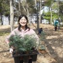 학생 나무심기 사진 네이버블로그