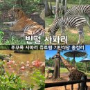 코뿔소식당 | [푸꾸옥 빈펄사파리] 이용권 구매 쥬트램 기린식당 등 총정리