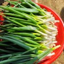 월현농장 이미지