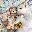 [강아지 장난감/인형] 도기맨<b>코리아</b> ‘러블리허그 장난감’